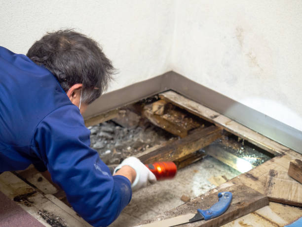 Best Water Damage Restoration  in West Valley City, UT