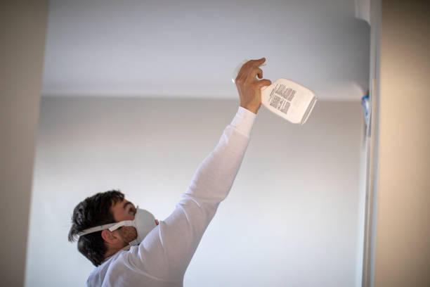 Best Mold Testing  in West Valley City, UT