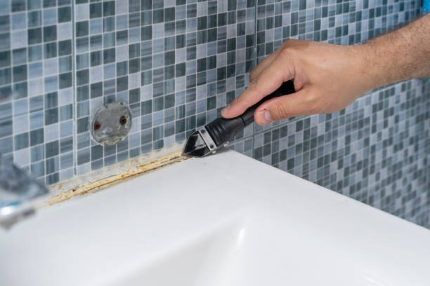 Best Local Mold Removal Service  in West Valley City, UT
